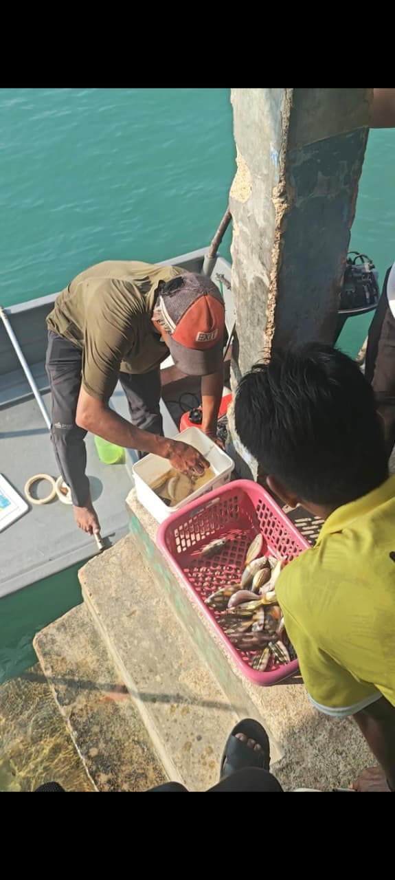 Aktivitas nelayan di Desa Mantang Besar